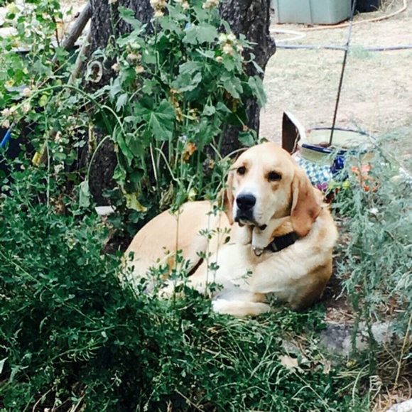 Hello - Picture 2 of 9